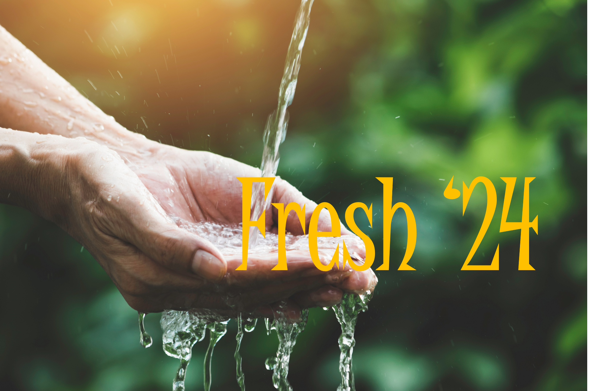 Fresh 24 Logo